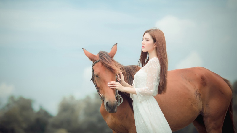 崩坏星穹铁道繁星璀璨的天才在哪刷 繁星璀璨的天才遗器副本位置介绍